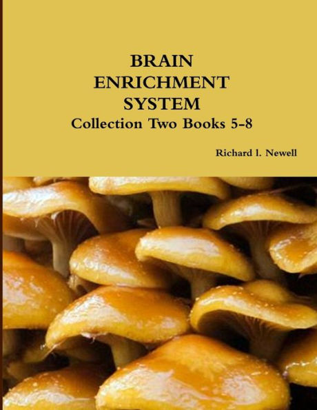 Brain Enrichment System Collection Two Books 5-8