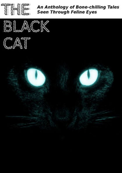 The Black Cat