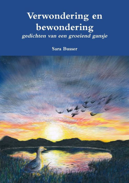 Verwondering En Bewondering (Dutch Edition)