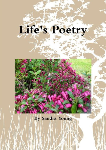 Life's Poetry - 9781326378943