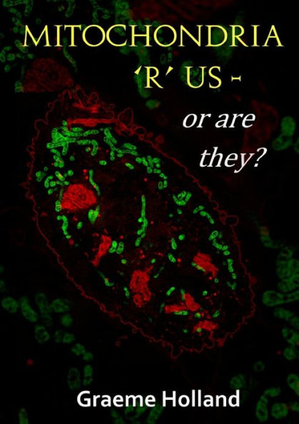 Mitochondria æRÆ us û or are they?