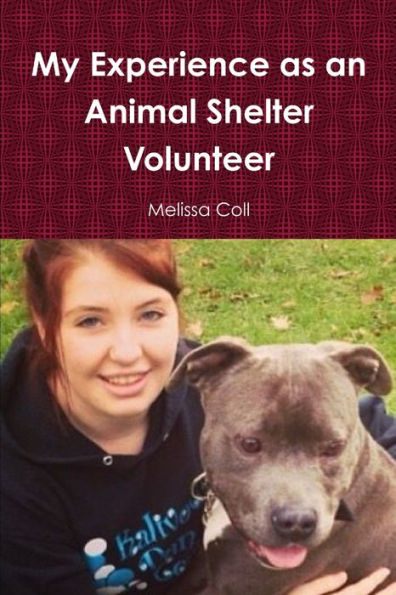My Experience As An Animal Shelter Volunteer