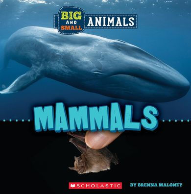 Mammals (Wild World: Big And Small Animals) - 9781338853575