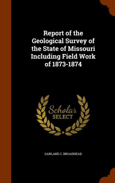 Report Of The Geological Survey Of The State Of Missouri Including Field Work Of 1873-1874