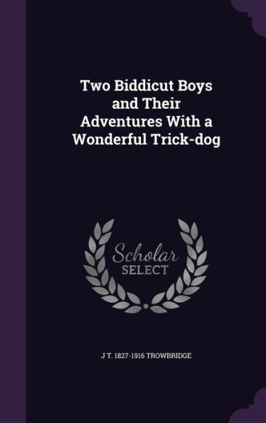 Two Biddicut Boys And Their Adventures With A Wonderful Trick-Dog