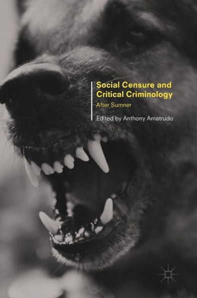 Social Censure And Critical Criminology: After Sumner