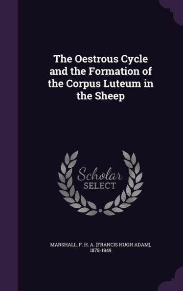 The Oestrous Cycle And The Formation Of The Corpus Luteum In The Sheep
