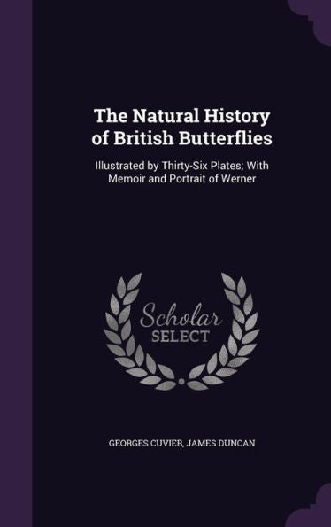 The Natural History Of British Butterflies: Illustrated By Thirty-Six Plates; With Memoir And Portrait Of Werner