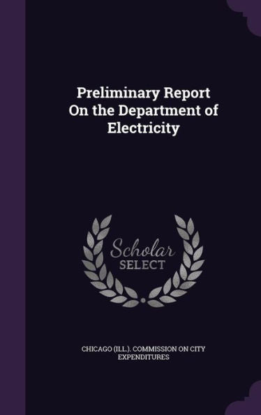 Preliminary Report On The Department Of Electricity