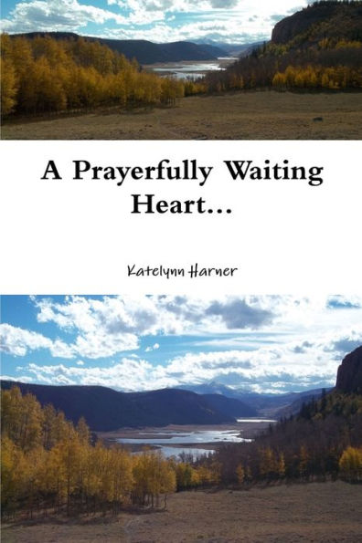 A Prayerfully Waiting Heart...