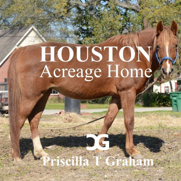 Houston Acreage Home