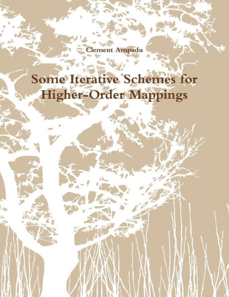 Some Iterative Schemes For Higher-Order Mappings