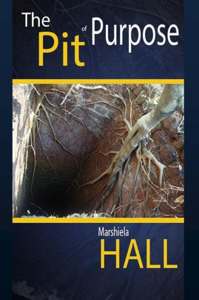 The Pit Of Purpose