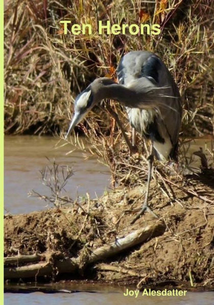 Ten Herons