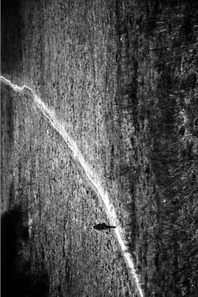 The Narrow Path - The Road Less Travelled