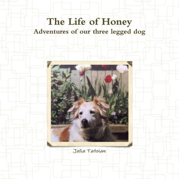 The Life Of Honey