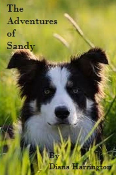 Adventures Of Sandy, Part I