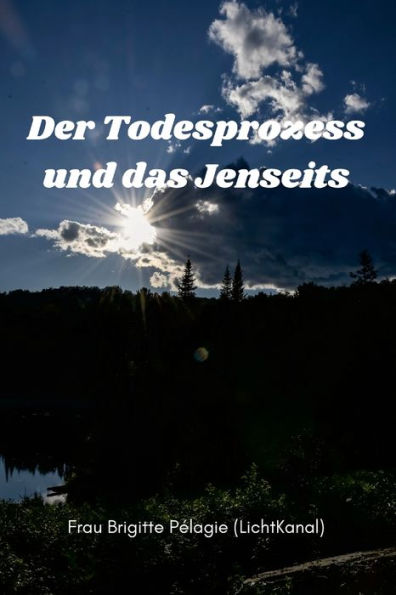 Der Todesprozess Und Das Jenseits (Paperback) (German Edition)
