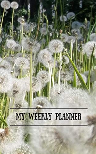 My Weekly Planner - 9781366641625