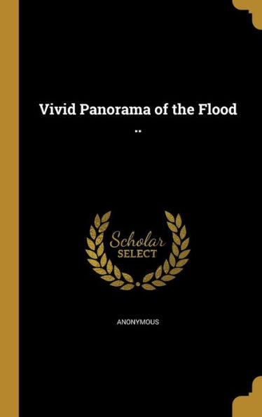 Vivid Panorama Of The Flood ..