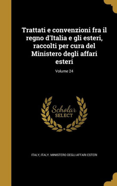 Trattati E Convenzioni Fra Il Regno D'Italia E Gli Esteri, Raccolti Per Cura Del Ministero Degli Affari Esteri; Volume 24 (Italian Edition)