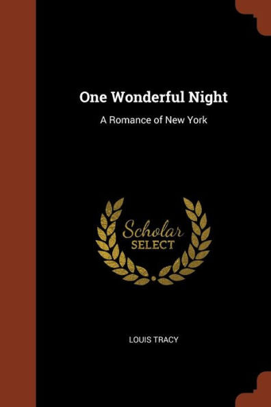 One Wonderful Night: A Romance Of New York