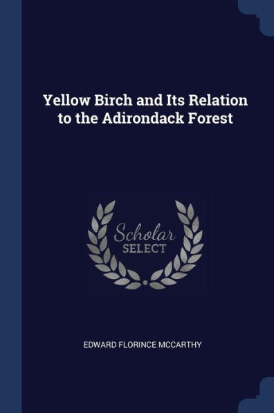 Yellow Birch And Its Relation To The Adirondack Forest