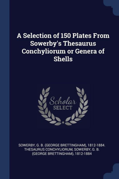 A Selection Of 150 Plates From Sowerby'S Thesaurus Conchyliorum Or Genera Of Shells