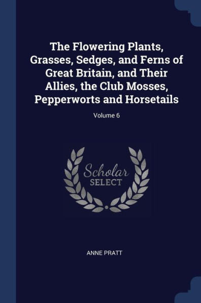 The Flowering Plants, Grasses, Sedges, And Ferns Of Great Britain, And Their Allies, The Club Mosses, Pepperworts And Horsetails; Volume 6