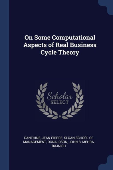 On Some Computational Aspects Of Real Business Cycle Theory