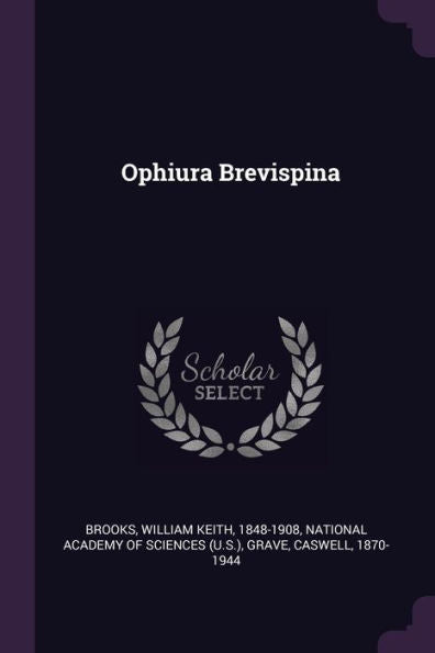 Ophiura Brevispina