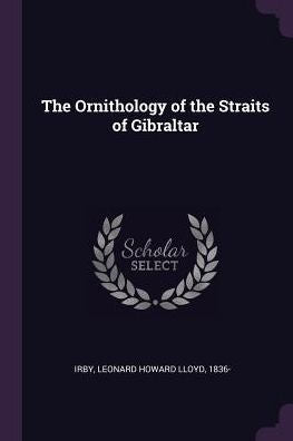 The Ornithology Of The Straits Of Gibraltar
