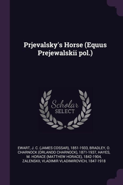 Prjevalsky's Horse (Equus Prejewalskii Pol.)