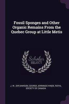Fossil Sponges And Other Organic Remains From The Quebec Group At Little Metis