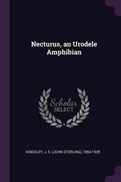 Necturus, An Urodele Amphibian