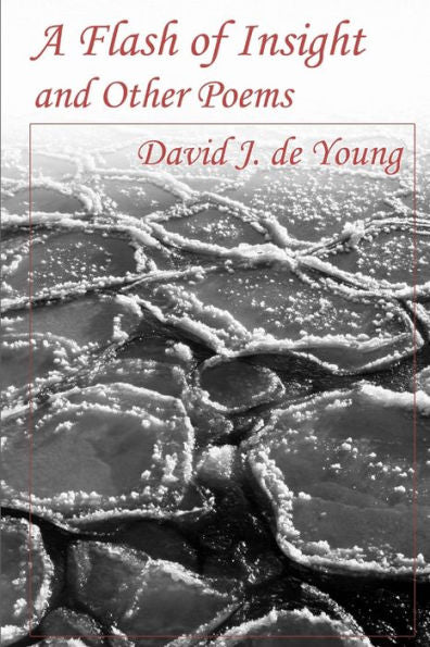 A Flash Of Insight And Other Poems