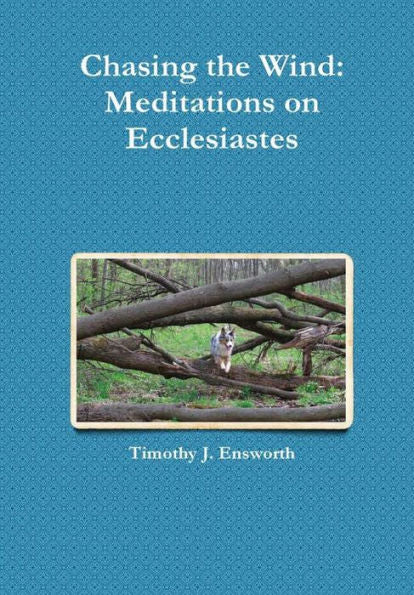 Chasing The Wind: Meditations On Ecclesiastes