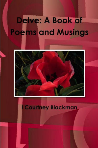 Delve: A Book Of Poems And Musings