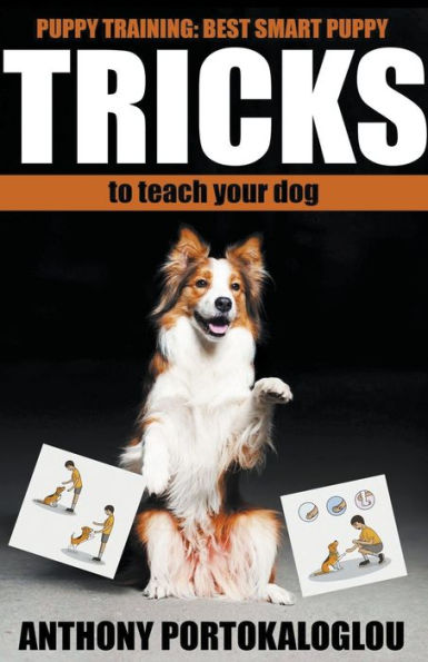 Dog Tricks: Best Smart Dog Tricks To Teach Your Dog In Record Time