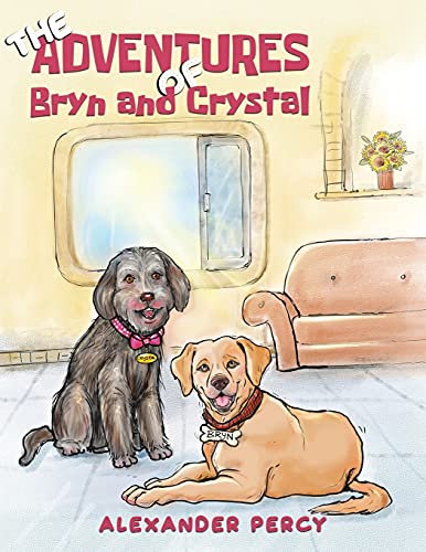 The Adventures Of Bryn And Crystal - 9781398404601