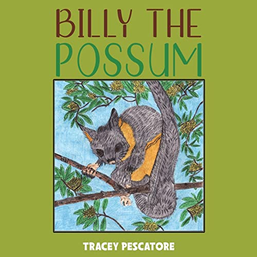 Billy The Possum