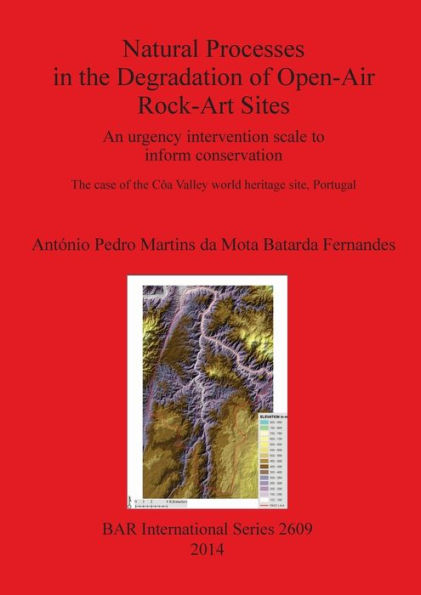Natural Processes In The Degradation Of Open-Air Rock-Art Sites: An Urgency Intervention Scale To Inform Conservation (Bar International)