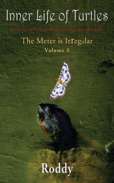 The Meter Is Irregular, Volume 3 - Inner Life Of Turtles