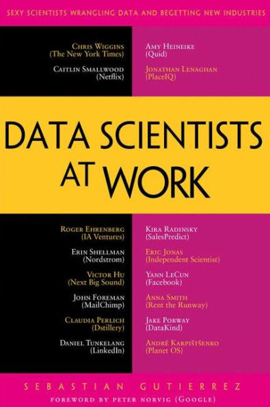 Data Scientists At Work