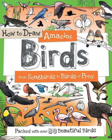 How To Draw Amazing Birds: From Songbirds To Birds Of Prey (How To Draw Series)