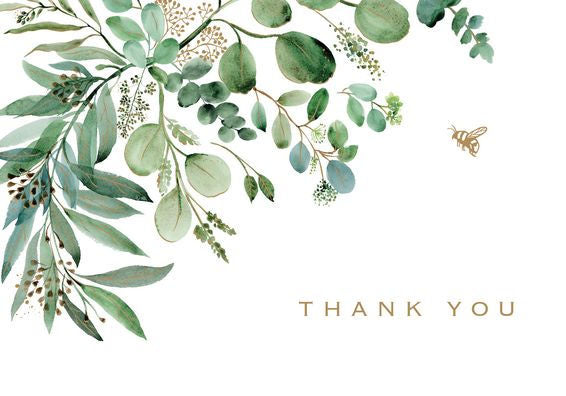 Eucalyptus Thank You Note Cards (14 cards, 15 self-sealing envelopes)