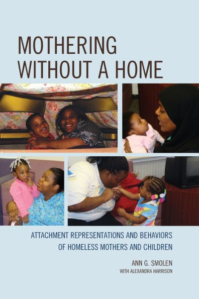 Mothering Without A Home: Attachment Representations And Behaviors Of Homeless Mothers And Children (The Vulnerable Child: Studies In Social Issues And Child Psychoanalysis)