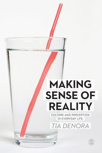 Making Sense Of Reality: Culture And Perception In Everyday Life