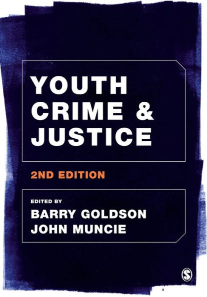 Youth Crime And Justice