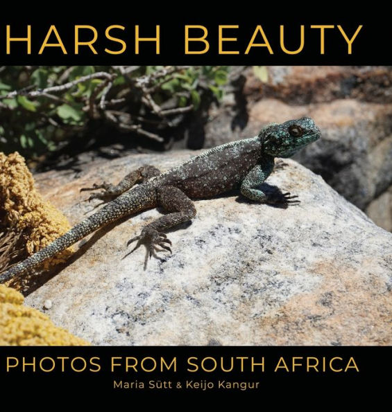 Harsh Beauty: Photos From South Africa